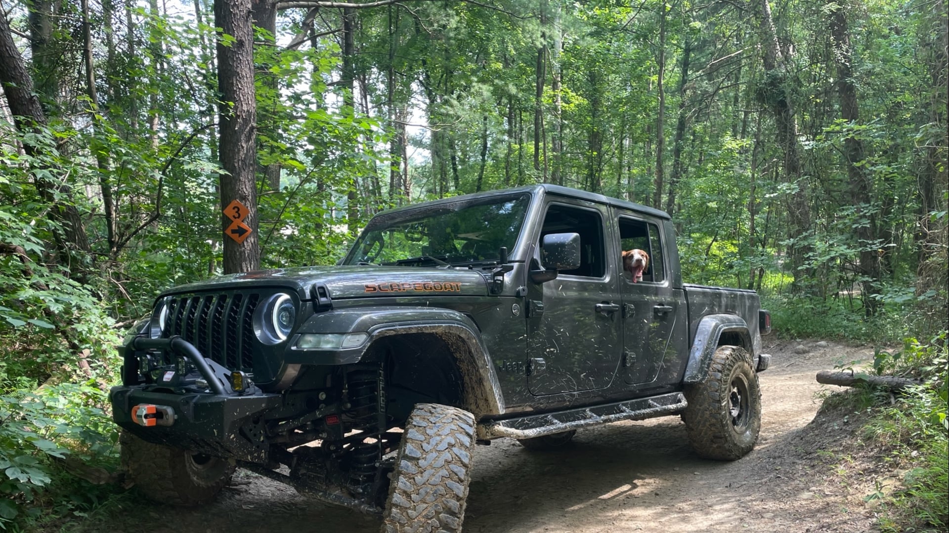 2021 Jeep Gladiator JT on Molle Platform Solutions parts