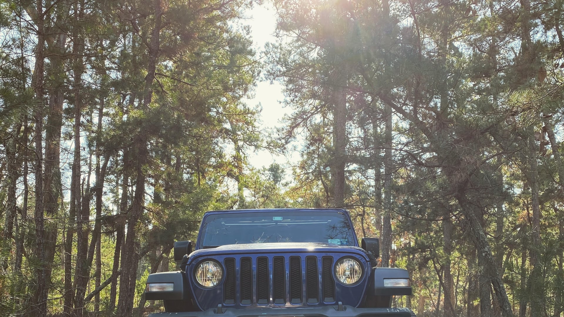 2019 Jeep Wrangler JLU on Falken WildPeak A/T3W